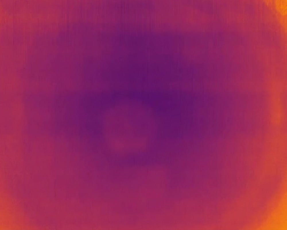 Final thermal measurement frame held between captures